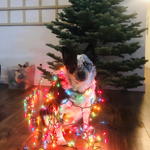 🧡About Our Shop 🧡 - Picture 3 of 8